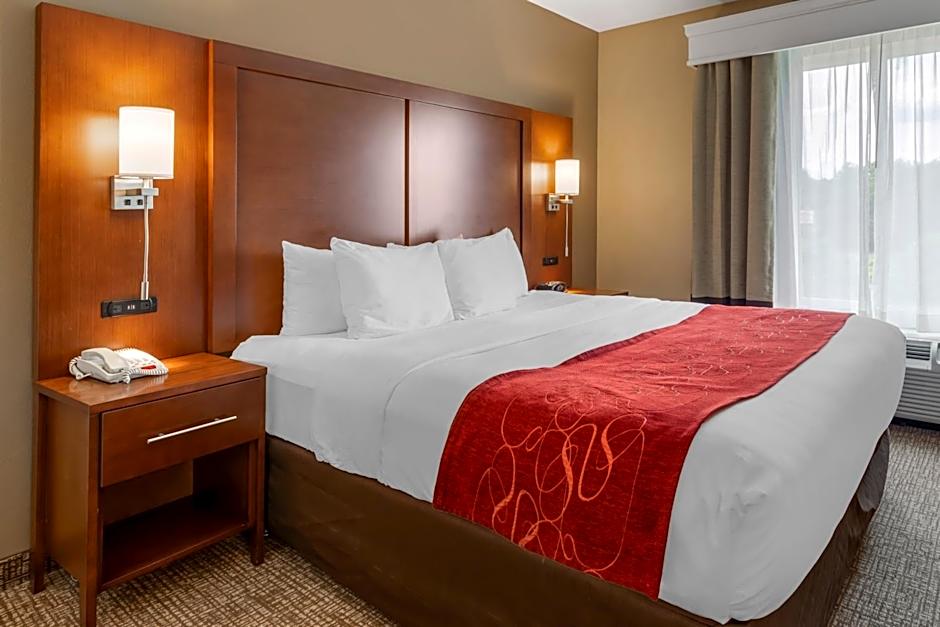 Comfort Suites Knoxville North