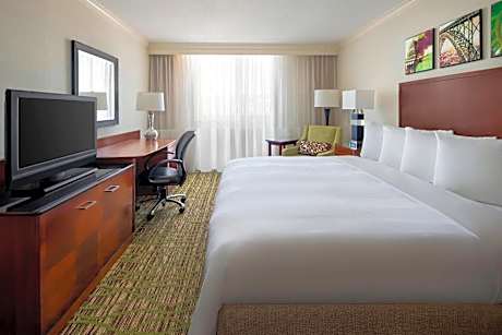 Deluxe King or Double Room