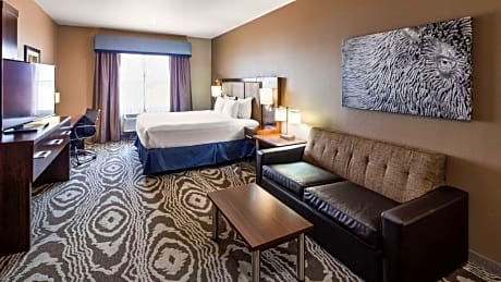 Suite-1 King Bed Non-Smoking Sofabed For One Person Microwave And Refrigerator Full Breakfast