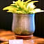 Jephson Hotel & Apartments