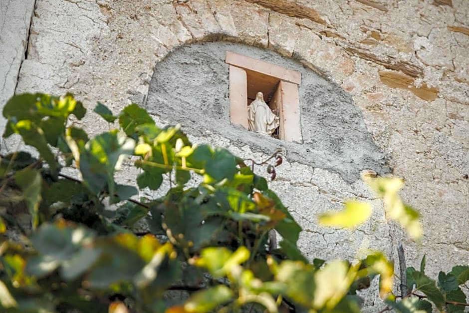 B&B AL VECCHIO CARPINO