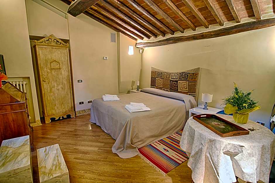 Rinidia - Siena Centro