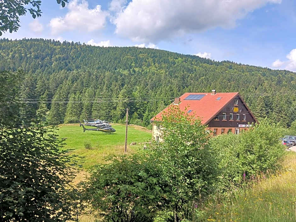 Domaine Des Hauts Viaux