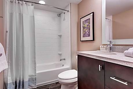 Studio, 1 King Bed with Sofa bed (Hearing Accessible) (1 King Bed and 1 Double Sofa Bed)