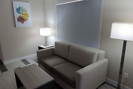 Suite-2 Queen Beds Non-Smoking Sofabed Microwave And Mini-Refrigerator Wi-Fi Full Breakfast