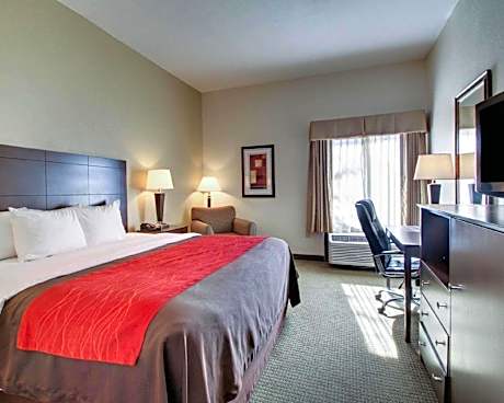 1 King Bed,Non-smoking
