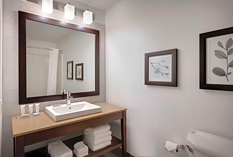 1 King Bed, Suite, Nonsmoking