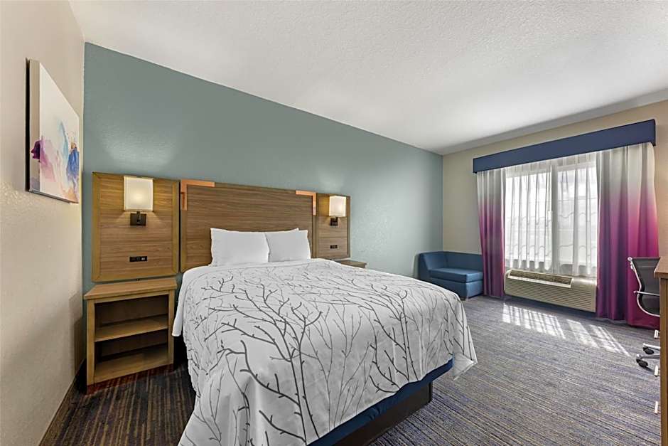 Best Western Plus San Antonio East Inn & Suites
