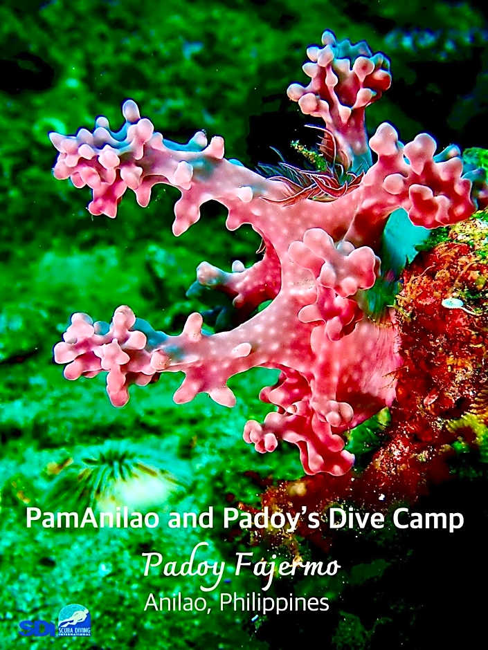 PamAnilao and Padoy's Dive Camp