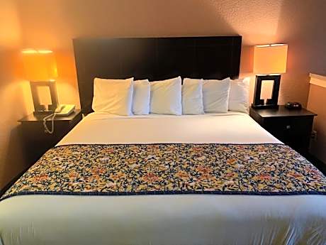 King Room with Sofa Bed