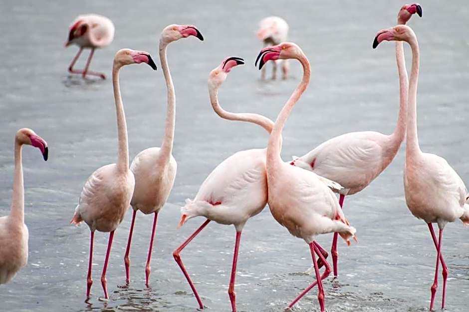 Agriturismo Is Solinas