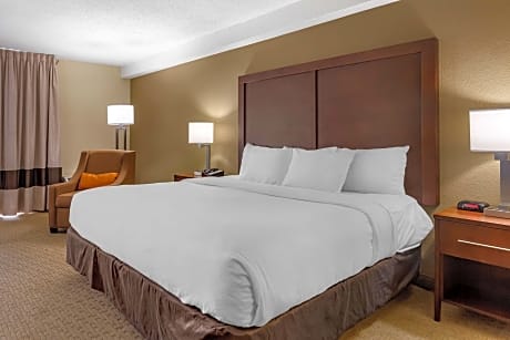 King Room - Accessible/Non-Smoking
