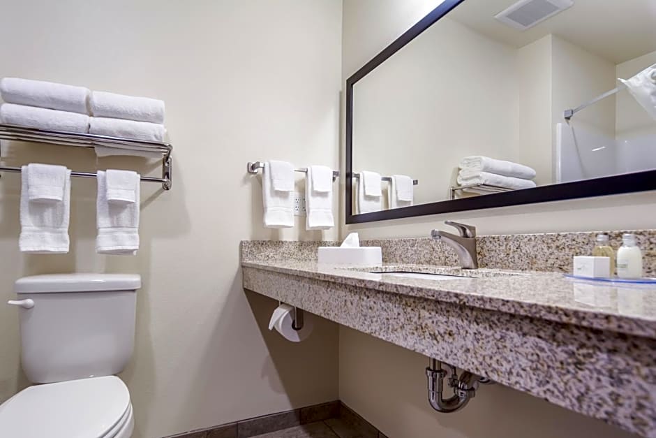 Cobblestone Inn & Suites-Fremont