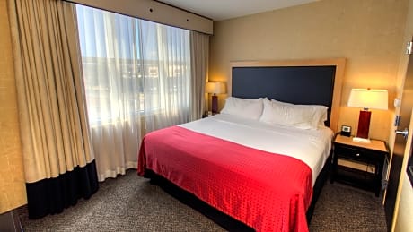 1 Bedroom Suite 1 Double