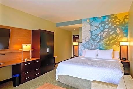 Room, 1 King Bed