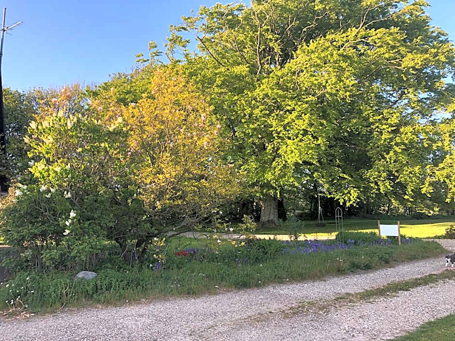 Landevejens B&B Holstebro