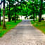 Forest Haven