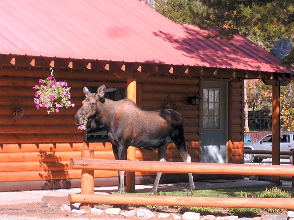 Lone Eagle Lodge