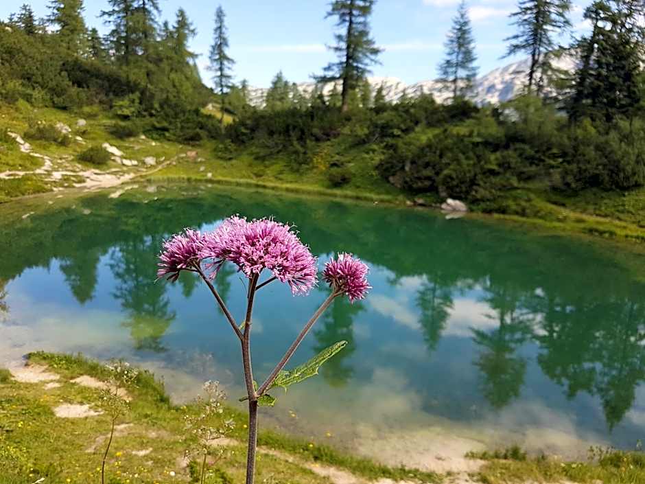 Hotel Berghof Tauplitzalm
