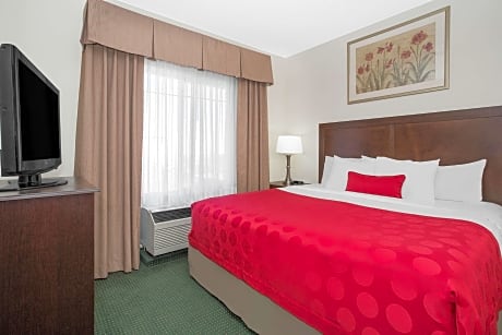 1 King Bed One-Bedroom Suite Non-Smoking