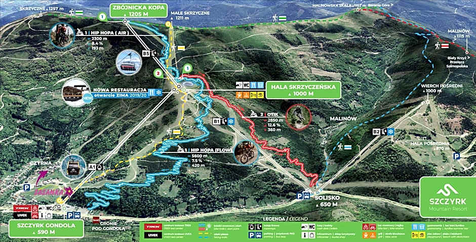 Sasanka przy Gondoli