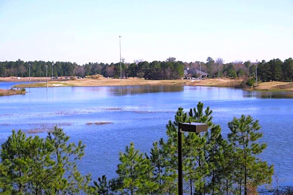 Hampton Inn By Hilton And Suites Savannah-Airport