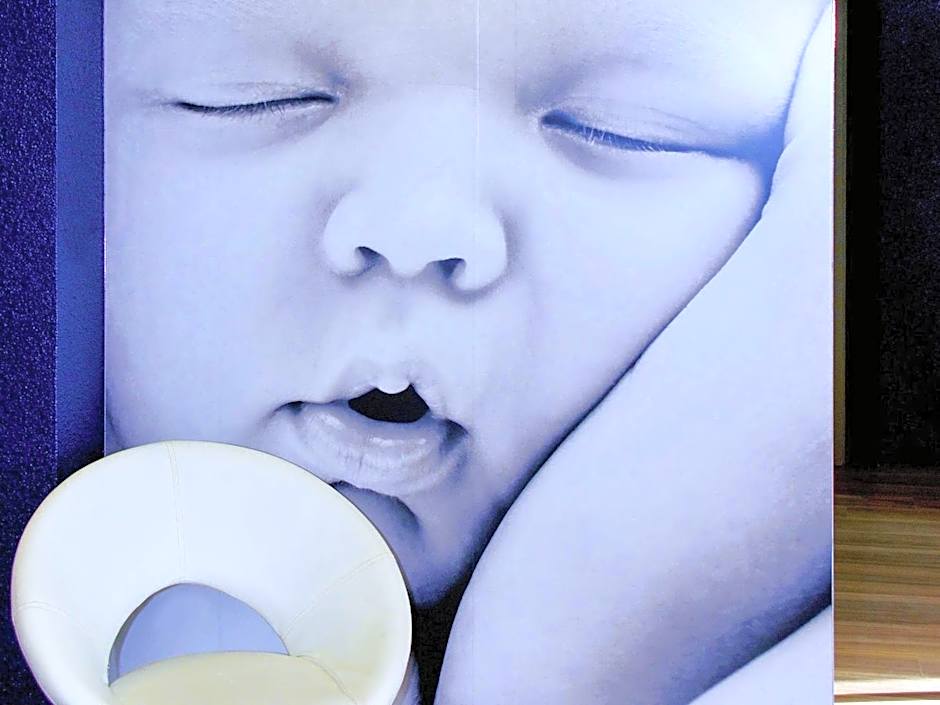 ibis budget Flers Les Grands Champs