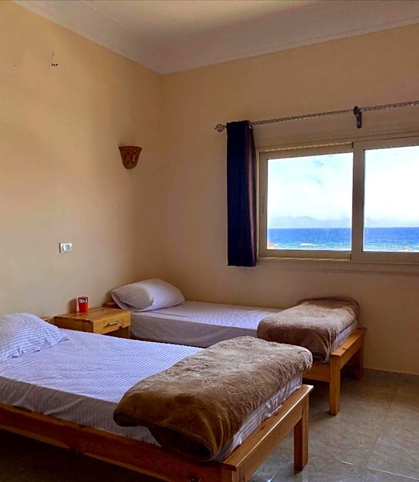 Nook – Dahab, IN