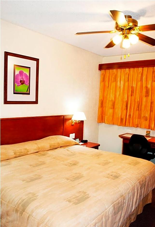 Hotel Marcella Clase Ejecutiva