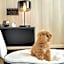 Fairfield by Marriott Kyoto Kyotamba