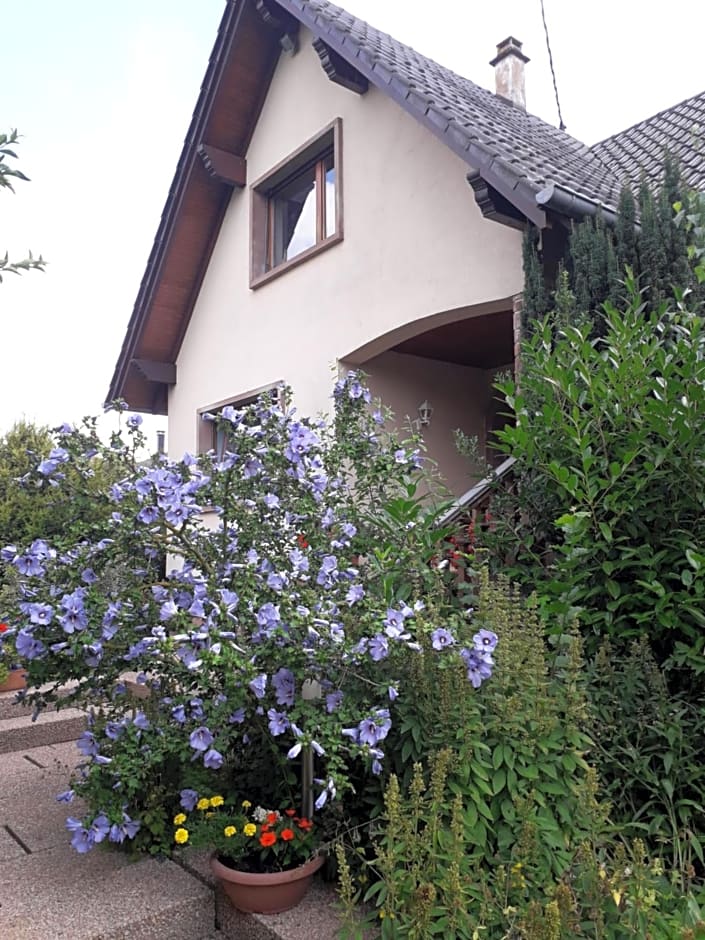 Chambre d'h¿tes du schneeberg