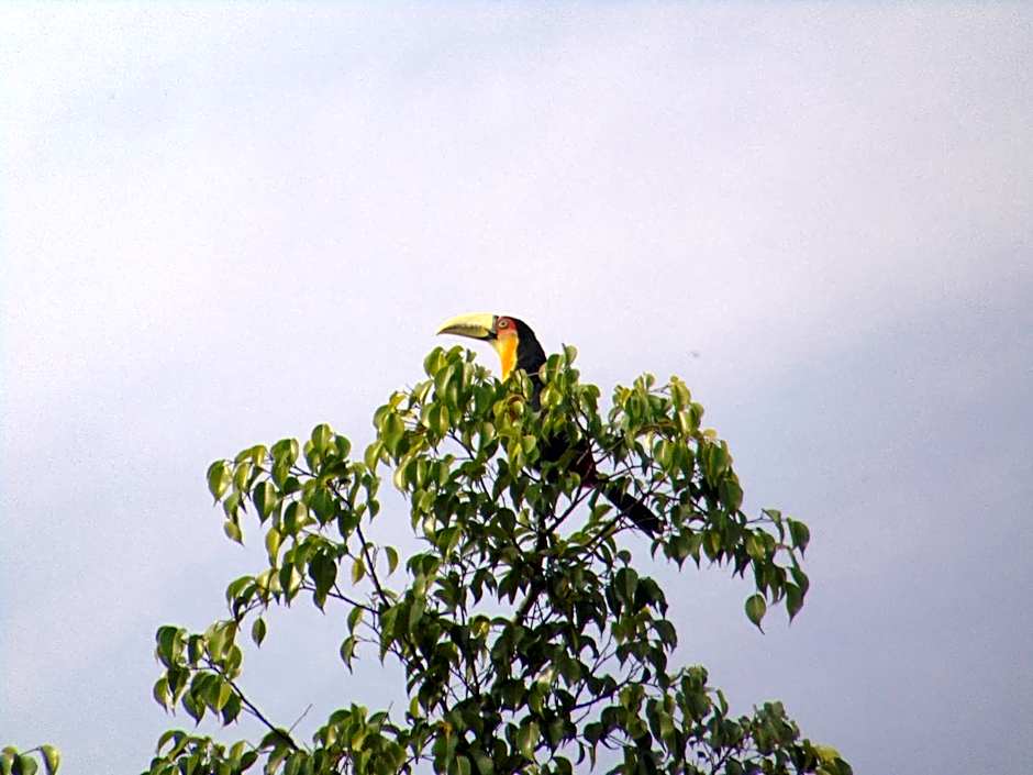 Pousada do Mendonça