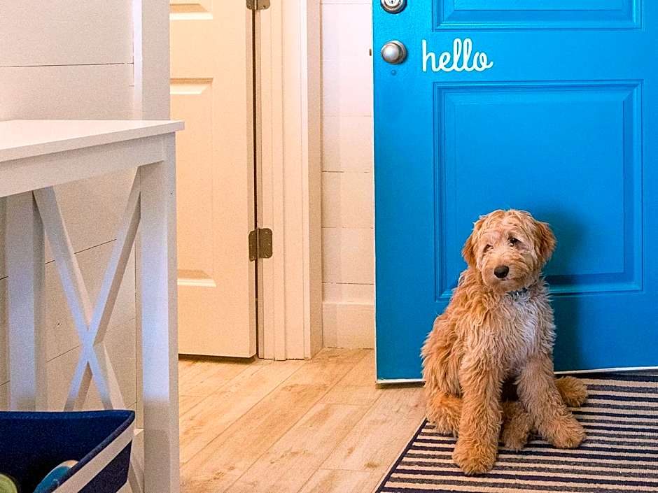 TRUE BLUE-Coastal cottage-3 min walk to beach! POOL!