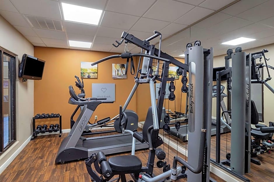 Comfort Suites Near Texas Medical Center - NRG Stadium