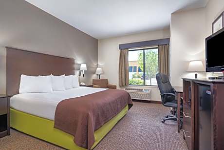 Studio King Suite - Pet Friendly/Non-Smoking