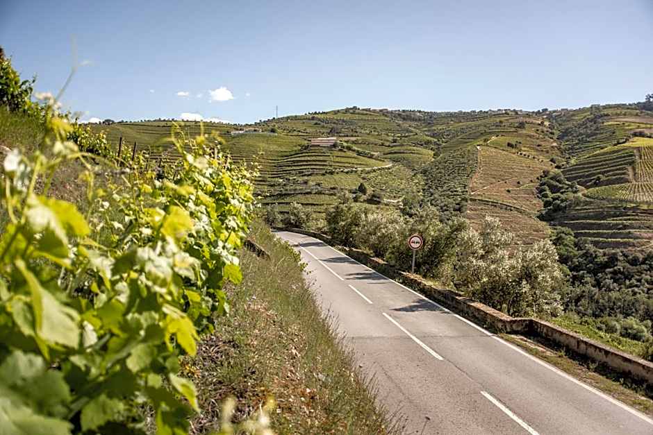 Original Douro Hotel