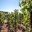 Tenuta di Castellaro Winery & Resort