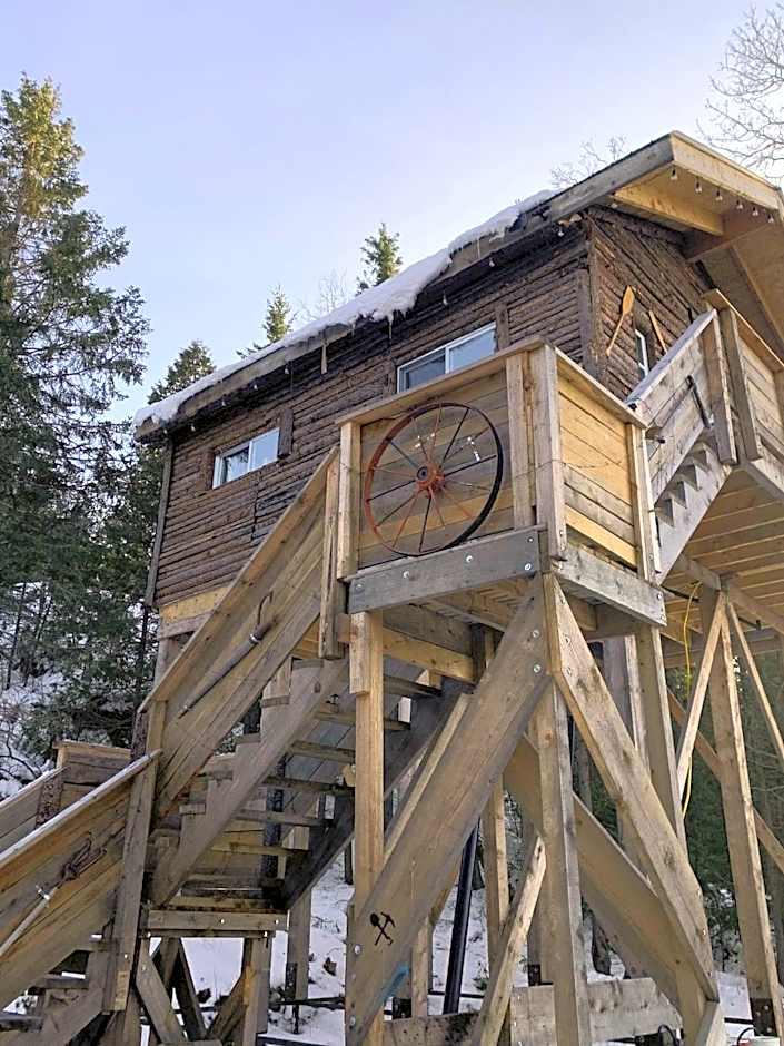 Entre Lemoine et l'arbre