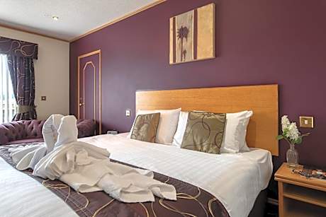 Deluxe Double or Twin Room with River View