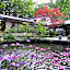 Takimi Onsen Inn that only accepts one group per day