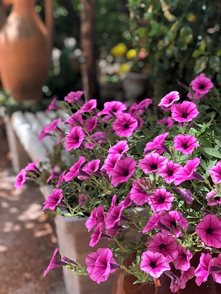 B&B Villa Anna Wunderbar