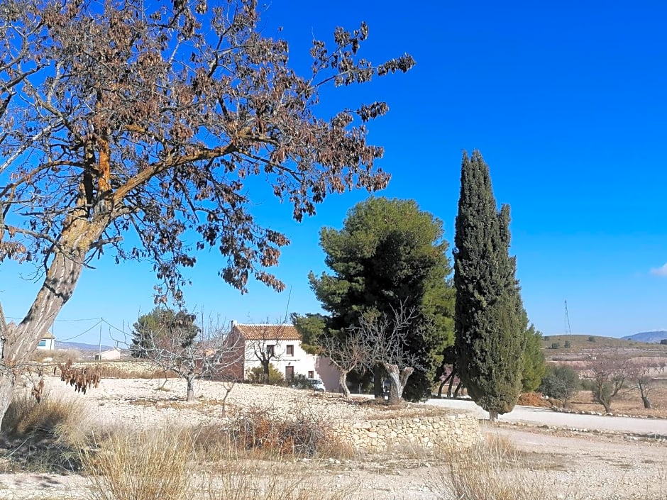 Finca Guillermo Murcia