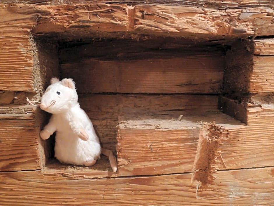 Heuholzmühle Privatzimmer