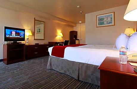 Suite-1 King Bed Non-Smoking Separate Bedroom Sofabed Wet Bar Microwave And Refrigerator Wi-Fi