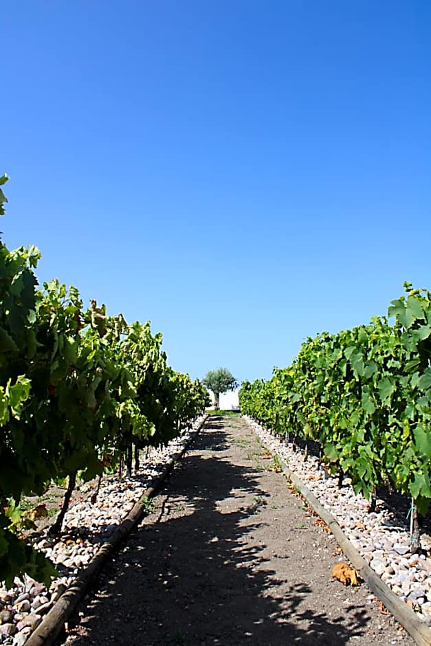 Quinta da Atela