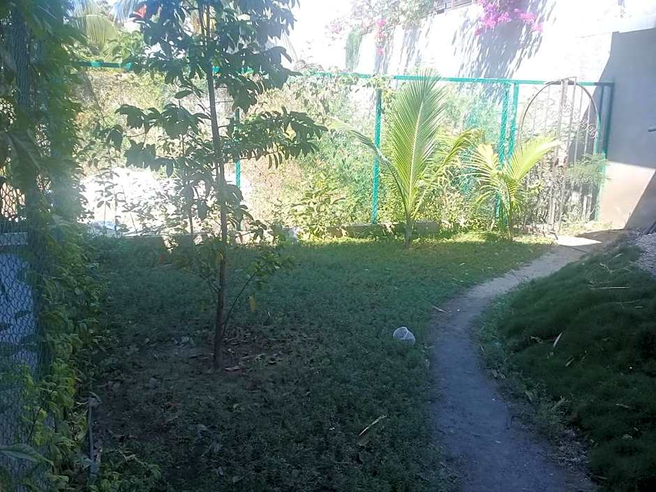 Palmas de Chahue