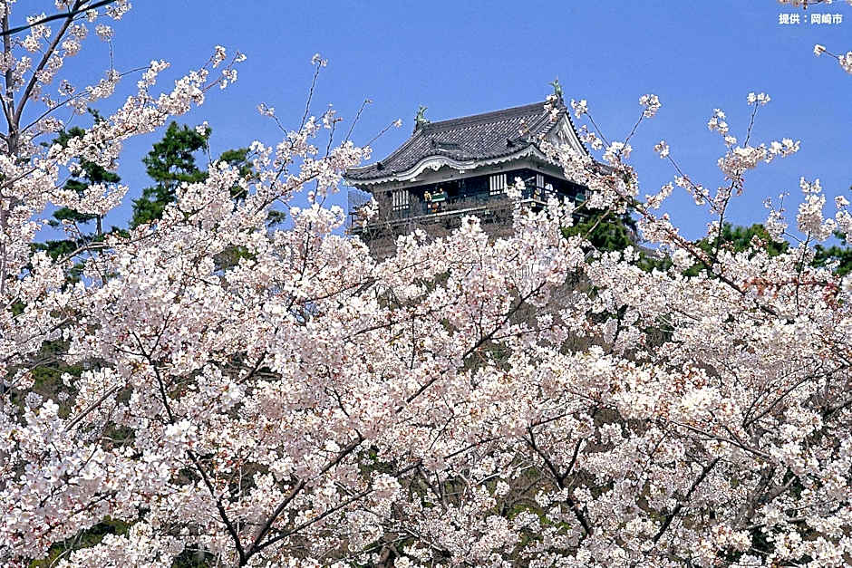 Hotel Waltz Okazaki - Adult Only