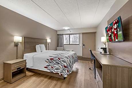 Superior Queen Room Disability Access Roll-In Shower Non-Smoking