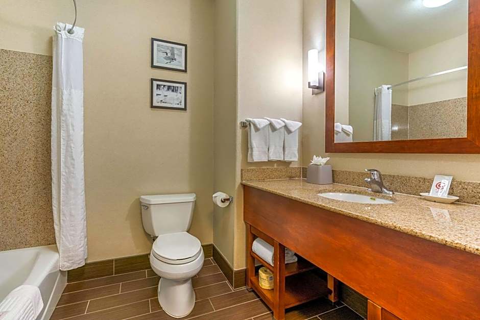 Comfort Inn and Suites Galt - Lodi North