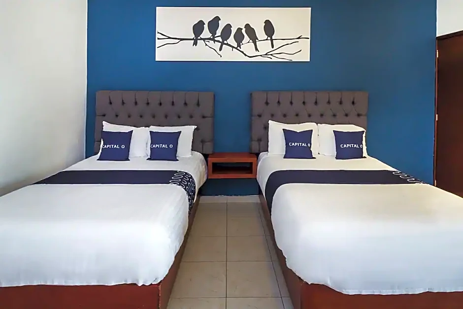 Capital O Hotel 522